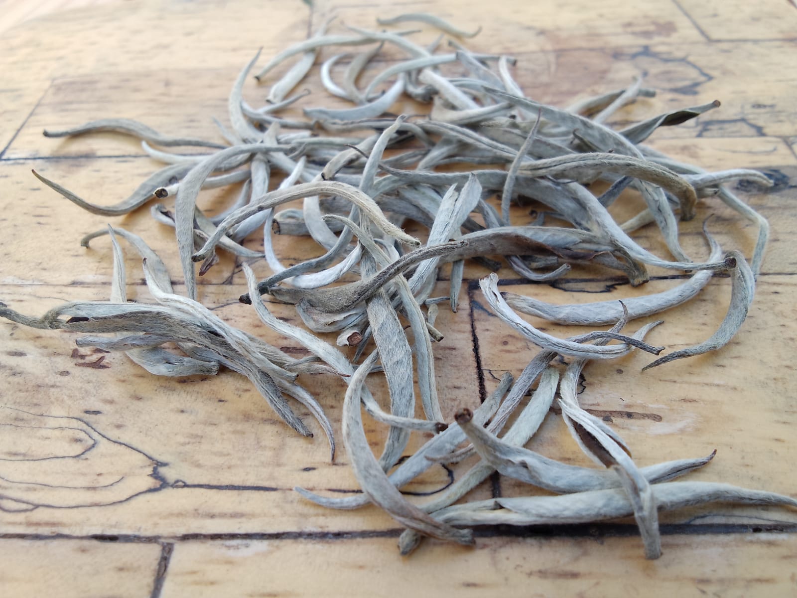 Indonesian White Tea Silver Needle